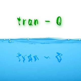 0021_tran-q.jpg